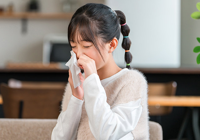 アレルギー性鼻炎・結膜炎（花粉症）